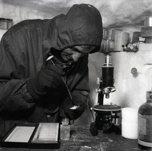 Claude Lorius dans son laboratoire aménagé dans la cave creusée dans le névé attenant à la station.