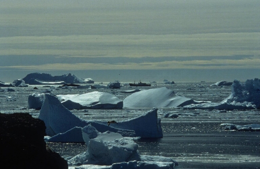 Vue prise de l'île des Pétrels vers le nord-est. Mer encombrée, nombreux icebergs. Au large, le Marion Dufresne, trop important pour naviguer dans l'archipel.
