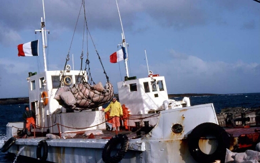 À Port aux Français (PAF), Chalands à quai à PAF, à gauche le Gros Ventre et à droite l'Oiseau