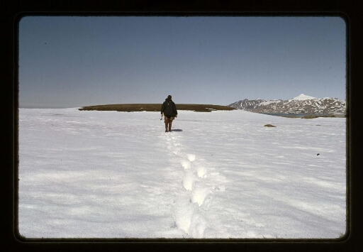 Un homme qui marche sur la neige près de la base Corbel - mission CNRS 1965 -vue 1