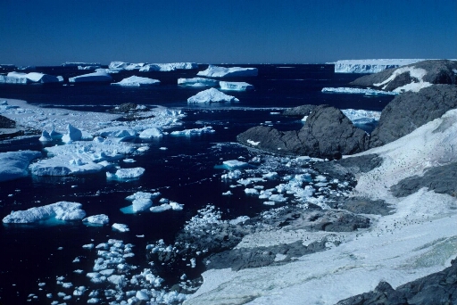 Vue depuis la côte nord de l'île des Pétrels vers l'île Claude Bernard et le glacier de l'Astrolabe. Pack puis mer libre à perte de vue, nombreux icebergs.