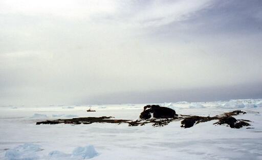 La glace de mer oblige une navigation prudente du PolarBjorn