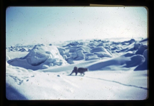 Jean Corbel et des collègues en mission en Arctique - vue1
