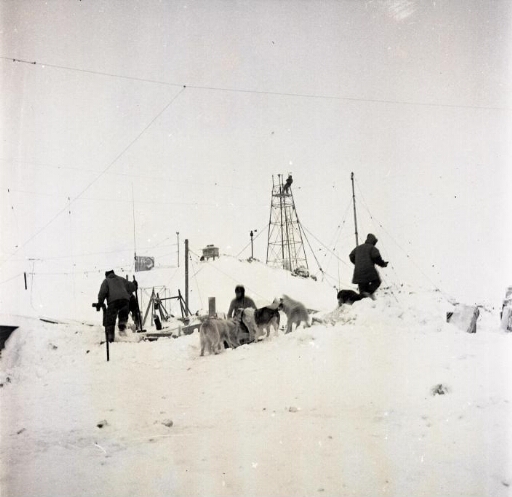 Sur la base recouverte de neige fraîche, les hommes en compagnie de quatre chien. Un homme dans la tour, ciel bas.