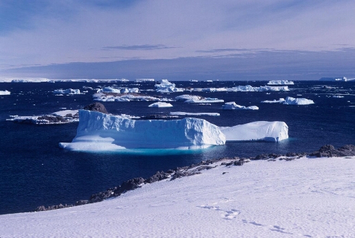 Un petit iceberg échoué au nord de l'île des Pétrels et nombreux autres icebergs à proximité des îlots dans une mer libre. Beau temps.
