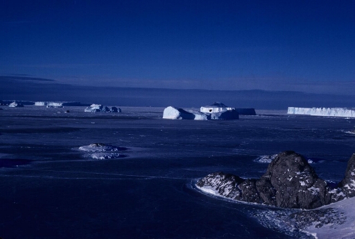 Vue depuis le nord de l'île des pétrels en direction du nord-ouest. Banquise à perte de vue, nombreux icebergs, beau temps.