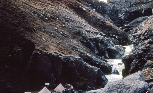 Canyon et falaise des Albatros à sourcils noirs - vue sur le campement