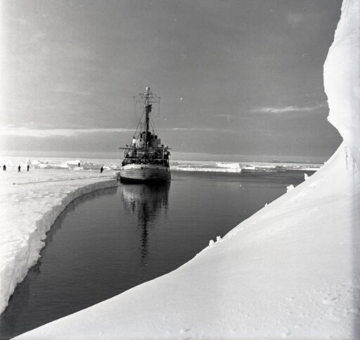 Le navire, vue en poupe, accosté à un grand floe. Des hommes sont descendus sur la glace.