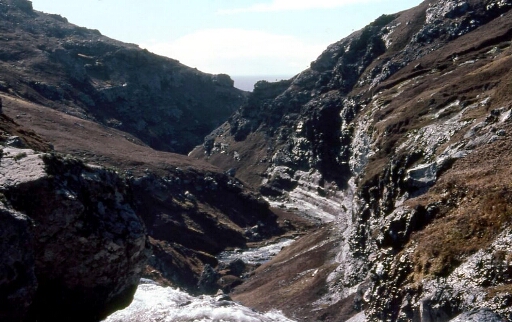Canyon et falaise des Albatros à sourcils noirs - Vue sur le canyon - plan 1