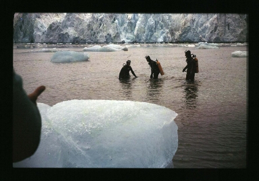 Mission plongée près du front du glacier de la Baie du Roi - mission CNRS 1965 - vue 2