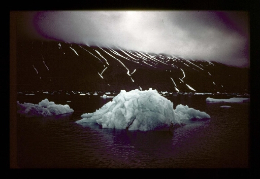 Un iceberg sur le fjord de la Baie du Roi - mission CNRS 1966