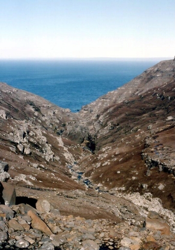 Canyon et falaise des Albatros à sourcils noirs - Fin du canyon