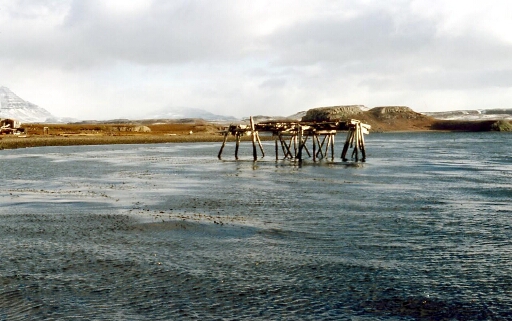 Port Jeanne d'Arc, reste du wharf à l'ancienne station baleinière franco-norvégienne.