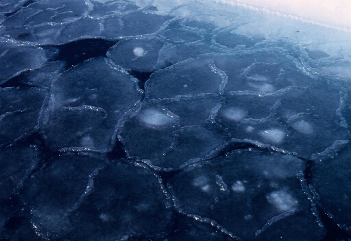 Pancake-ice : glace de mer en formation.