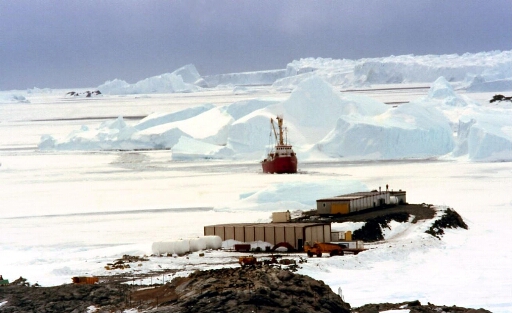 Vue du PolarBjorn dans la glace de mer à son arrivée à l'île du Lion - plan 2
