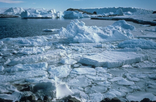 Morceaux de banquise disloquée, blocs de glaces et glaces en formation au premier pan. Au-delà, dans une mer libre, des icebergs plus ou moins importants.