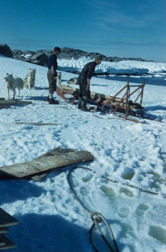 A proximité de la base, deux hommes chargent un traîneau de bois de construction. Quatre chiens, déjà réunis à leur trait, attendent le départ.