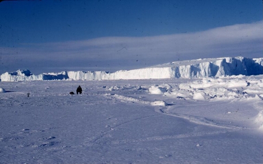 La banquise en hiver, les icebergs qui barrent l'horizon, un hivernant observe un phoque de Weddel