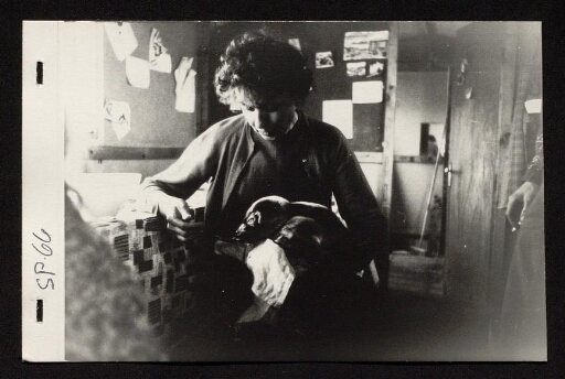 Une femme s'occupe d'un jeune phoque dans un bâtiment de la base Corbel - mission CNRS 1966 vue1