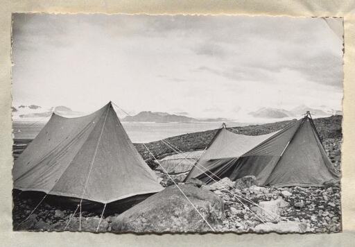 Camps à Kongsfjord