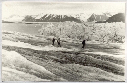 Trois personnes marchent sur le glacier Kongsbre