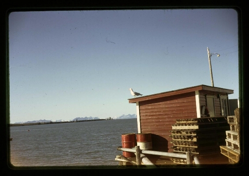 Longyearbyen - vue sur la mer - mission CNRS 1963 - vue 11