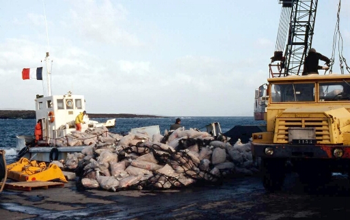 À Port aux Français (PAF), quai du port encombré de sacs de ciment, PPM et camion