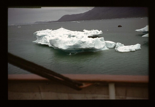 Vue sur un petit iceberg - mission CNRS 1966