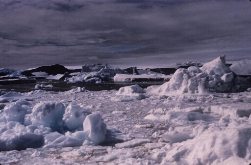 Dislocation de la banquise, pack assez dense, petits icebergs. A gauche l'île Lamarck et en arrière-plan le glacier de l'Astrolabe.