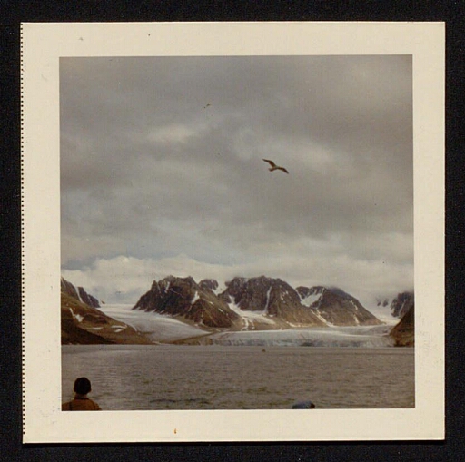 Magdalena Fjord - été 1971