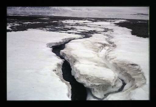Aux abords du glacier de la Baie du Roi - mission CNRS 1965 - vue 2