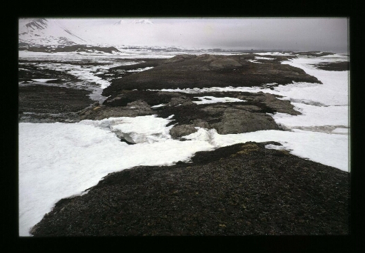 Vue sur le fjord de la Baie du Roi - mission CNRS 1965