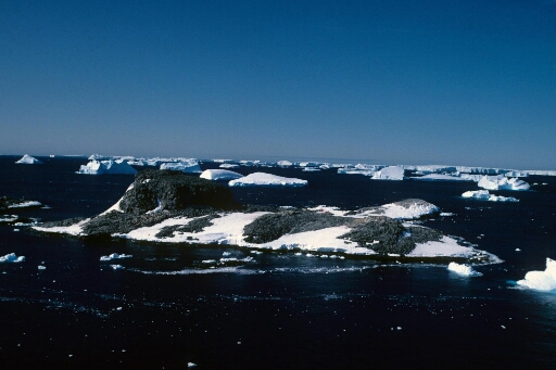 Vue prise depuis l'île des Pétrels de l'île du Lion. Mer libre à perte de vue, nombreux icebergs.