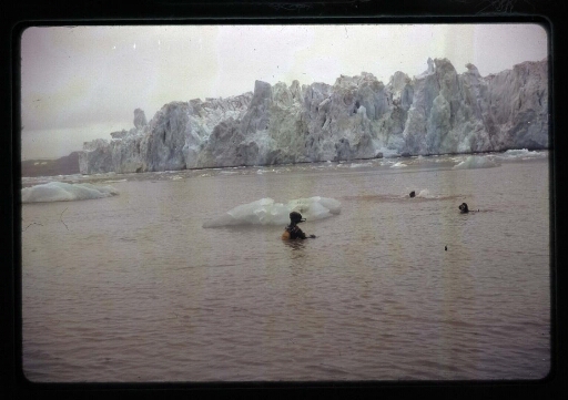 Trois plongeurs devant un morceau de glace devant le glacier de la Baie du Roi  - mission CNRS 1964 - vue 4