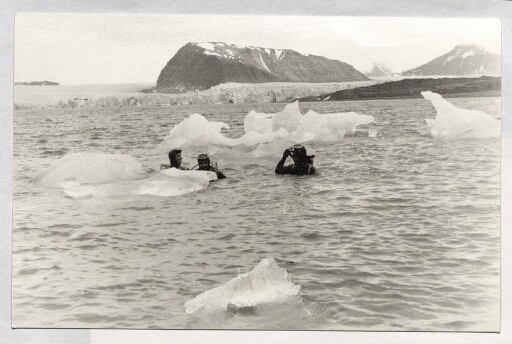 Trois plongeurs bouteilles dans l'eau entre des morceaux de glace - plan 1/2