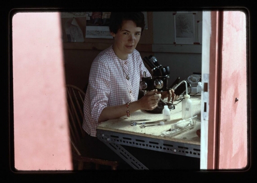 Marie-Jo au laboratoire de la base Corbel- mission CNRS 1966 - vue 1