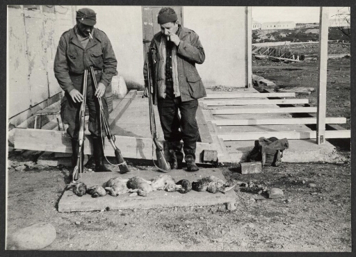 Deux hommes fusils en main revenant de la chasse aux lapins sauvages. Gibier à leur pied. Bâtiment en arrière-plan.
