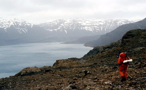 Ballade de 9 jours autour du Mont Ross - J6 - Baie Larose_Col de Dante. La descente sur le Fjord Larose