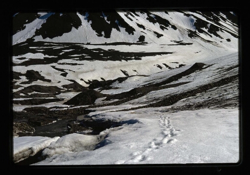Vue sur le sol enneigé - mission CNRS 1966 - vue 1