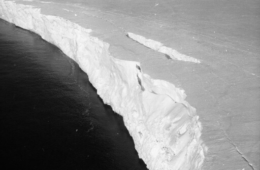La falaise de glace du continent.