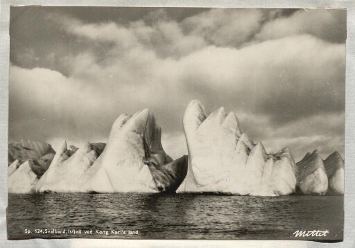 icebergs pointus