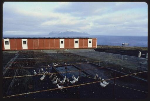 Hangar avec un enclos pour canards au premier plan. Marion Dufresne en arrière-plan. Diapo 3