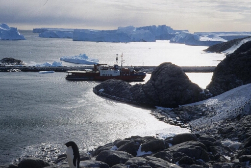 Le navire "L' Astrolabe" naviguant à vitesse réduite entre l'île des Pétrels et la piste du Lion. A l'arrière-plan, nombreux gros icebergs.
