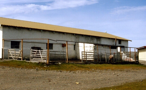 À Port aux Français (PAF), ferme bâtiment bergerie et porcherie (les cochons sont dehors)