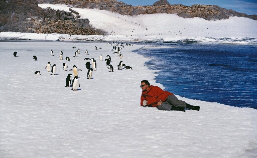 Après l'hivernage, le géophysicien Roland Schlich redécouvre la beauté et la faune de Dumont d'Urvile.