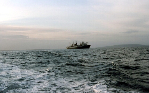 Au mouillage de PAF bateaux russes, 1 navire ravitailleur et 2 chalutiers  transbordant leur pêche
