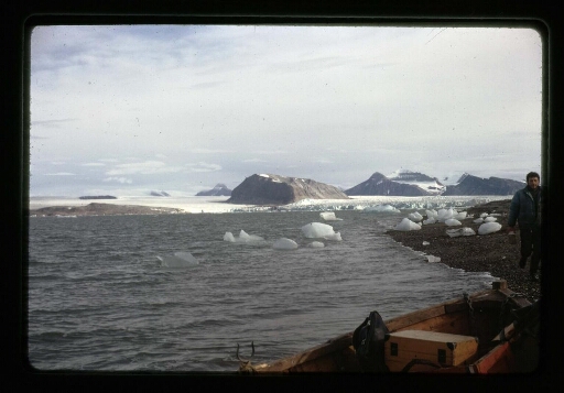 Bord de cote et morceaux de glace qui flottent sur le fjord, vu sur le glacier - mission CNRS 1964